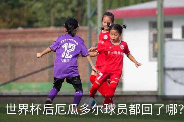 世界杯后厄瓜多尔球员都回了哪？输给墨西哥后他们各归其主